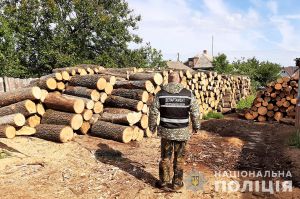 На Кіровоградщині нарубали лісу на 700 тисяч гривень